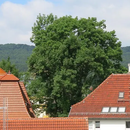 Dachwohnung Mit Terrasse Апартаменты *