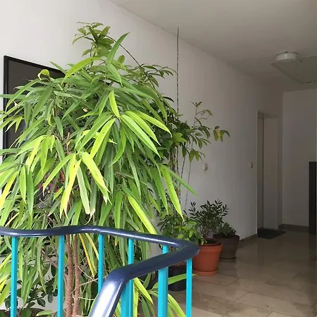 Dachwohnung Mit Terrasse *
